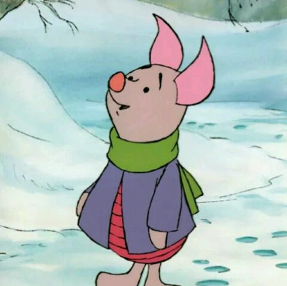 piglet65